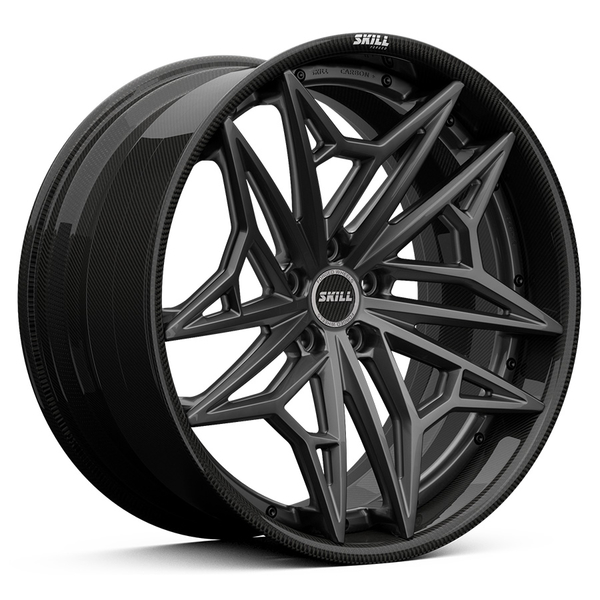 SC008 Carbon+